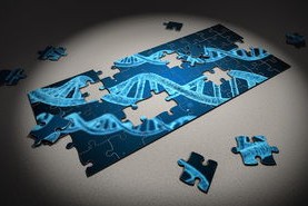 华体会-体育社交平台用户粘性提升策略，体育社交功能